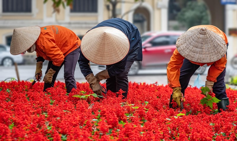 Urban Garden