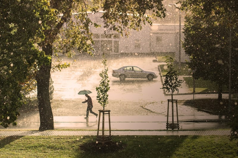 Urban Green Space