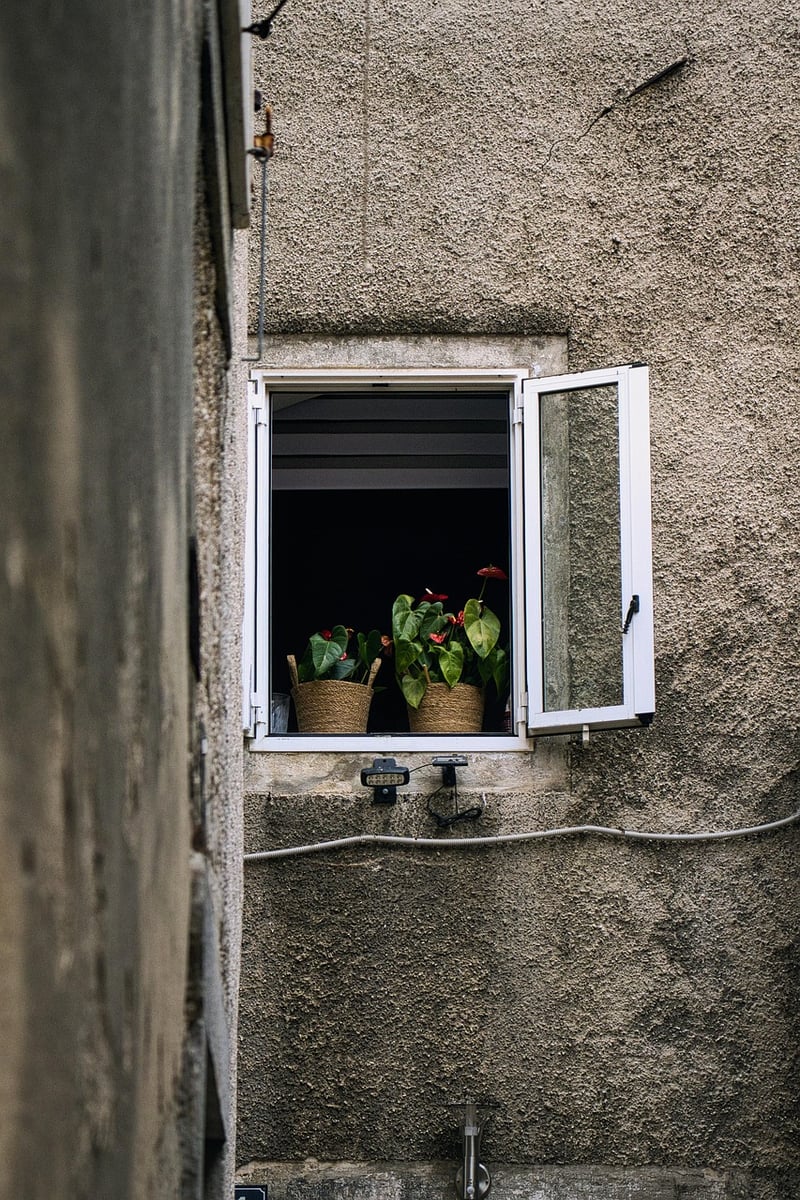 Window Boxes
